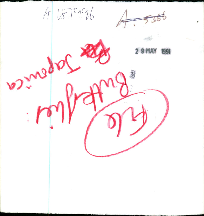 Butterflies: - Vintage Photograph