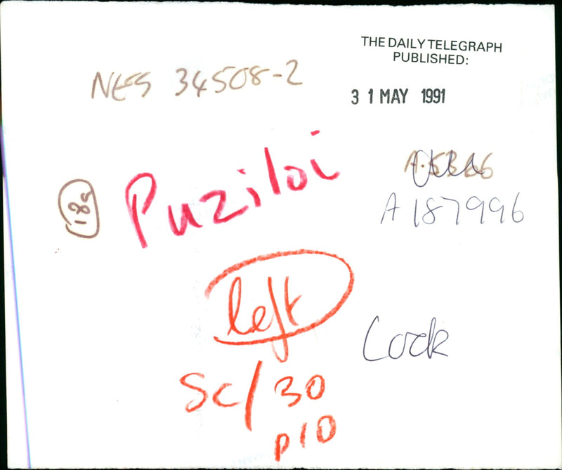 Butterflies: - Vintage Photograph