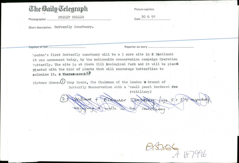 Butterflies:sanctuary will be 5 acre site. - Vintage Photograph