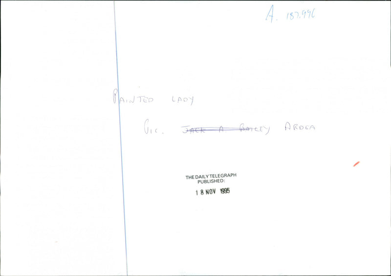 Butterflies:painted lady. - Vintage Photograph