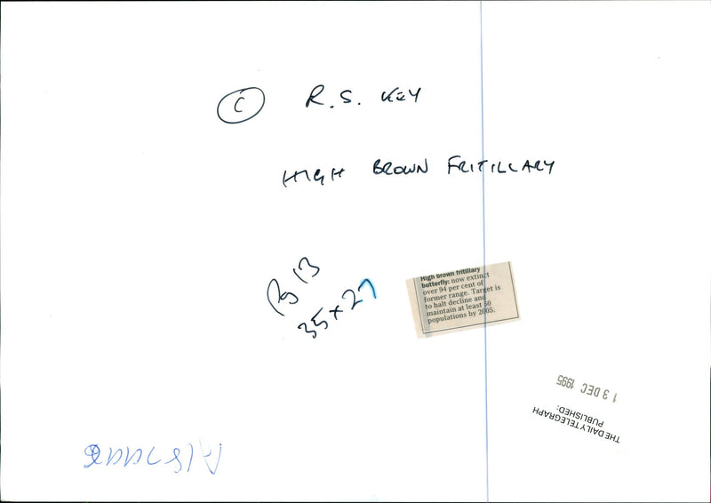 Butterflies:high brown fritillary. - Vintage Photograph