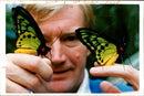 Butterflies:mr peter who runs the butterfly and falconry park. - Vintage Photograph