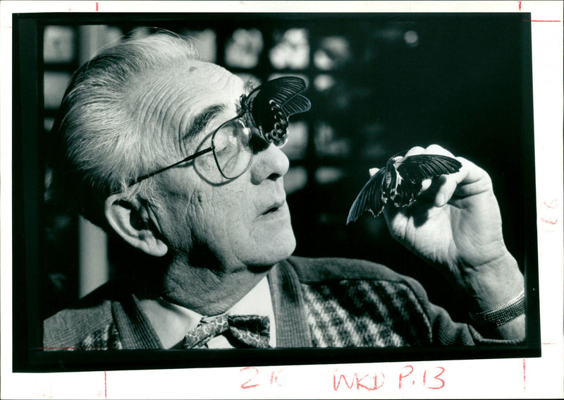 Butterflies:spectcles of nature bred in captivity live longer and are healthier. - Vintage Photograph