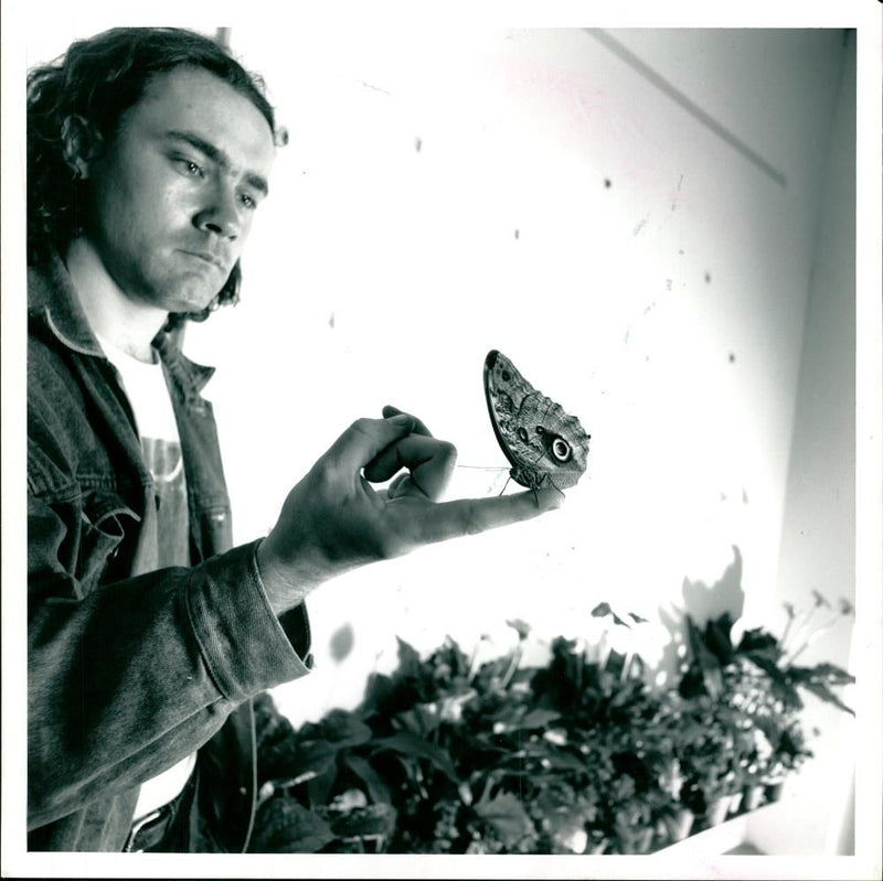 Butterflies:artist creating a flutter , damien hist with lepidopterous star. - Vintage Photograph