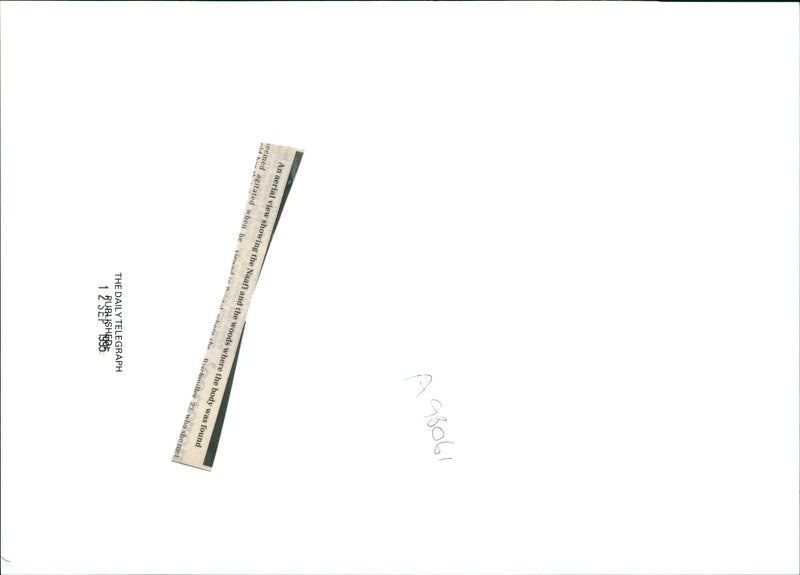 Rachel Lean: An aerial view of the murder scene. - Vintage Photograph