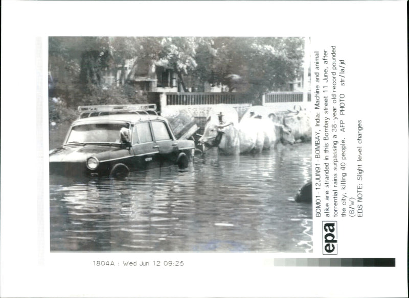 Floods India:machine and animal a like are strande.d - Vintage Photograph