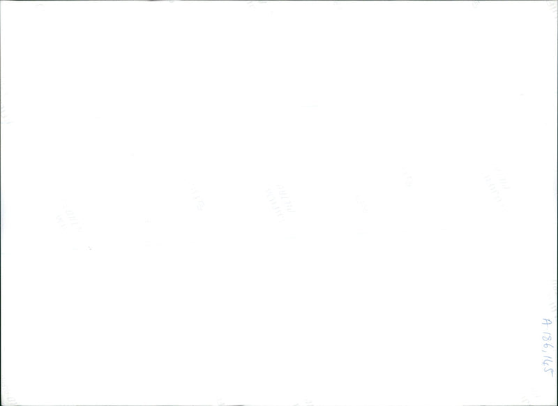 Dog: Buster - Vintage Photograph