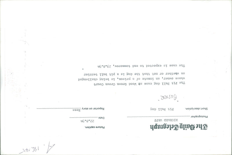 Dog: Buster - Vintage Photograph