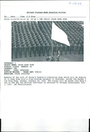 chinese Army:members of the unit. - Vintage Photograph