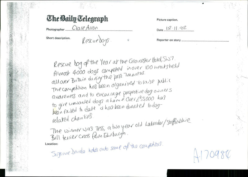 Dogs Rescue - Vintage Photograph