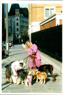 Dogs Rescue - Vintage Photograph