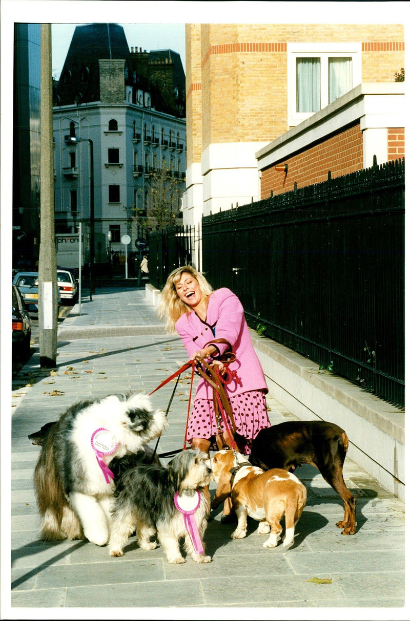 Dogs Rescue - Vintage Photograph