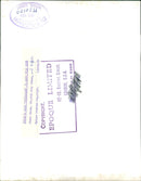 AFRICA Kenya Royal National Parks:Playful baby rhino. - Vintage Photograph