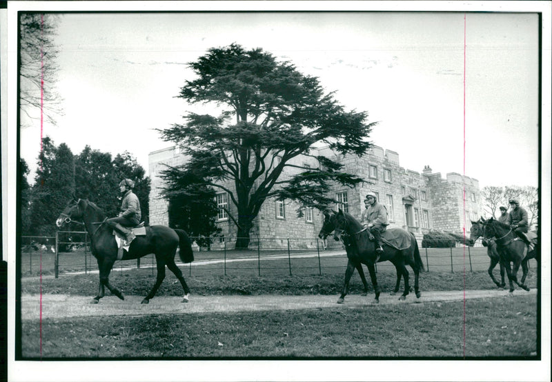 Tom Tate - Vintage Photograph