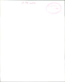 Dog: Lassie family - Vintage Photograph