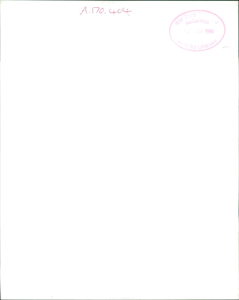 Dog: Lassie family - Vintage Photograph