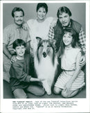 Dog: Lassie family - Vintage Photograph