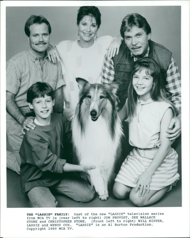 Dog: Lassie family - Vintage Photograph
