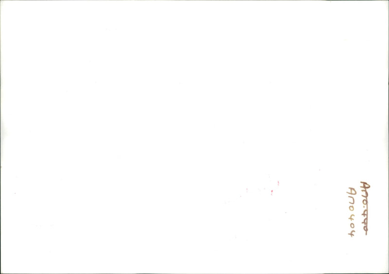 Dog: Lassie w/ Peter - Vintage Photograph