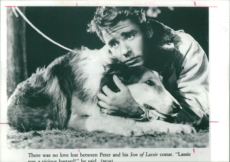 Dog: Lassie w/ Peter - Vintage Photograph