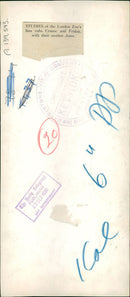 Animal: studies of the zoo lion cub - Vintage Photograph