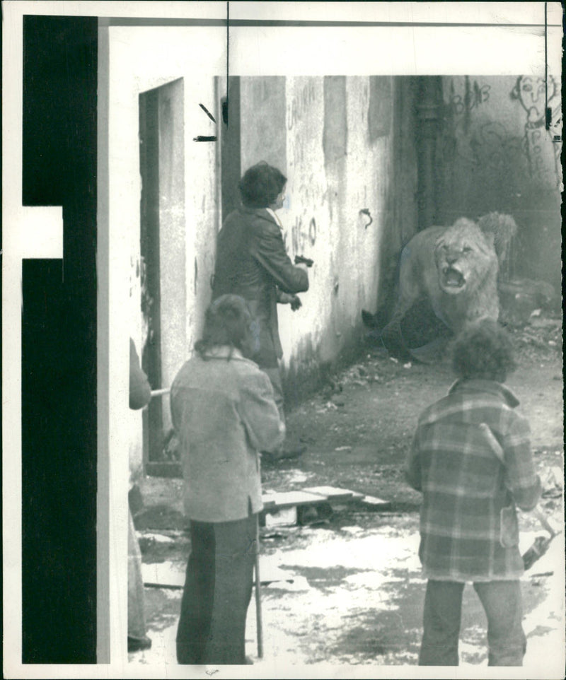 Animal:circus lion rex - Vintage Photograph