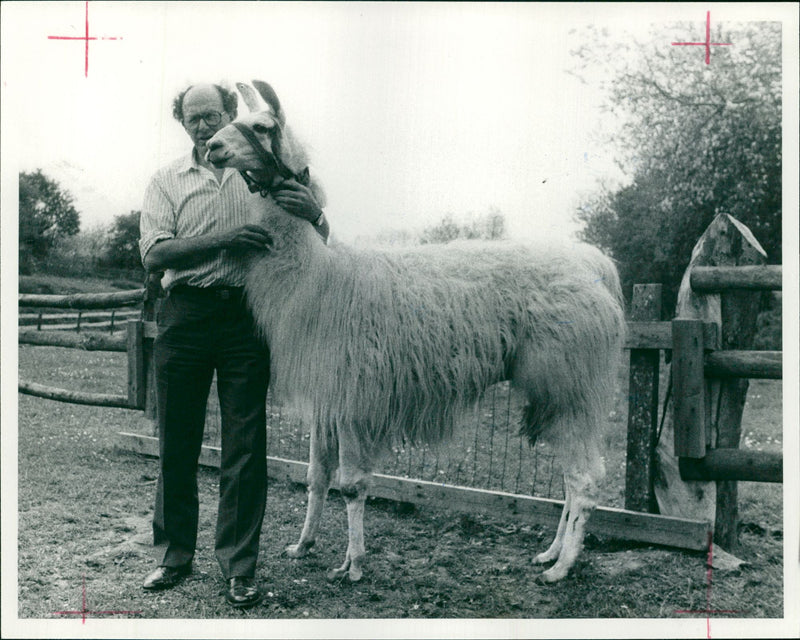 Clams animal: - Vintage Photograph