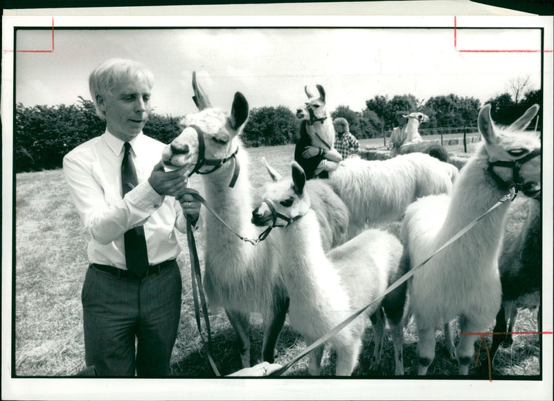 Clams animal: - Vintage Photograph