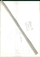 Animal Caribou:No retreat - Vintage Photograph