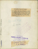 Animal Caribou:takes to water - Vintage Photograph