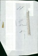 Animal Caribou: - Vintage Photograph