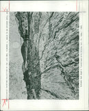 Van Gogh: Landscape w/ Rising Sun - Vintage Photograph