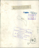 Animal Lion: - Vintage Photograph