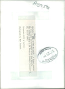 Animal Lion:Lionesses kill a buffalo. - Vintage Photograph