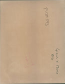 Animal Lion: - Vintage Photograph