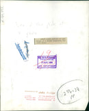 Animal Lion:Leo at the peak of a yawn. - Vintage Photograph