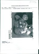 Animal Lion: - Vintage Photograph