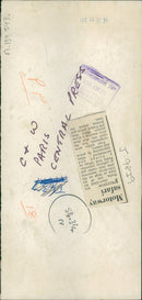 Animal Lion: - Vintage Photograph