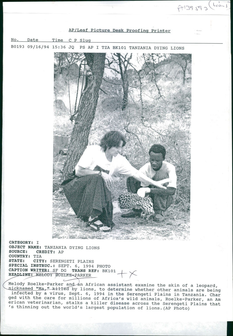 Animal Lion:Melody roelke parker and african assistant. - Vintage Photograph