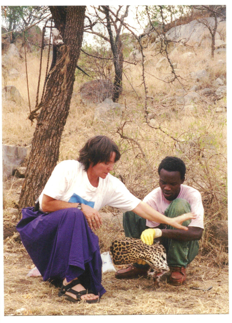 Animal Lion:Melody roelke parker and african assistant. - Vintage Photograph