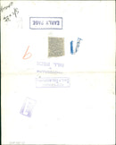 Animal Lion: - Vintage Photograph