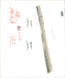 Animal Lion:The lion holds the badly injured intruder. - Vintage Photograph