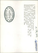 Animal Lion: - Vintage Photograph