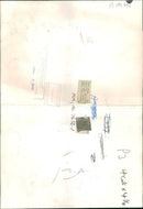 Animal Lion: - Vintage Photograph