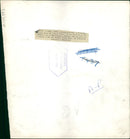 Animal Lion: - Vintage Photograph