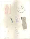 Animal Lion: - Vintage Photograph