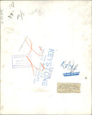 Animal Lion: - Vintage Photograph