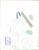 Animal Lion:Raoul and shiela. - Vintage Photograph