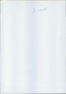 Aircraft Tupolev - Vintage Photograph