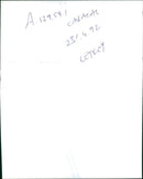 Animal: Caracal. - Vintage Photograph